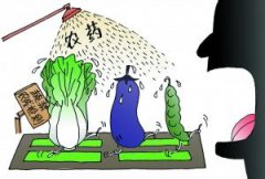 農(nóng)藥危害大？農(nóng)藥殘留檢測儀來幫忙