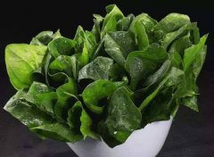 為什么要檢測植物葉綠素？